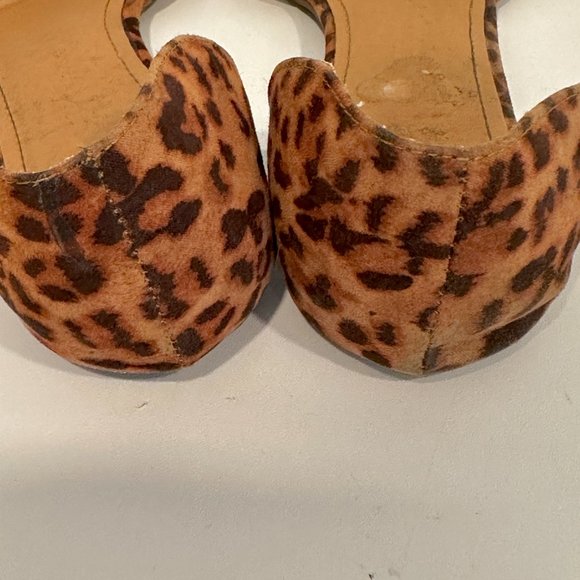 RePort Sycamore Flats Animal Print Floral Embroidered Pointed Toe Womens Size 10 - Picture 8 of 8